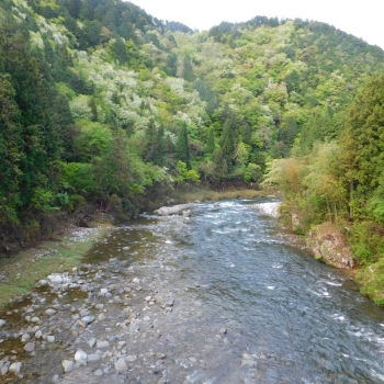 DSCN9764.JPG