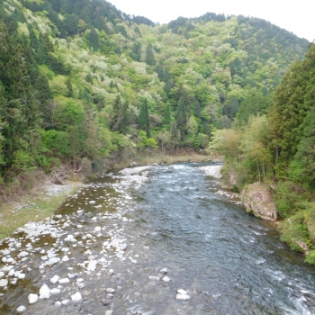 DSCN9768.JPG