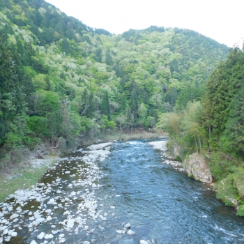 DSCN9772.JPG