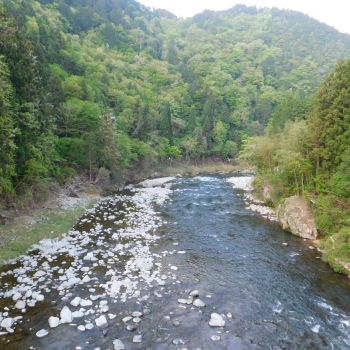 DSCN9780.JPG