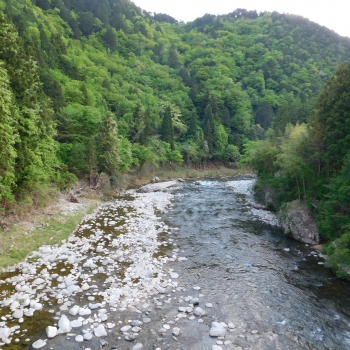 DSCN9875.JPG