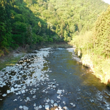 DSCN9880.JPG