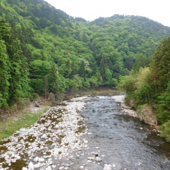 DSCN9979.JPG
