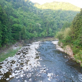 DSCN9988.JPG