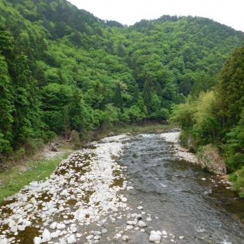 DSCN9992.JPG
