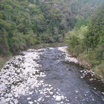 IMG_0045.JPG