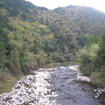 IMG_0077.JPG