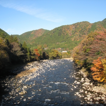 IMG_0146.JPG
