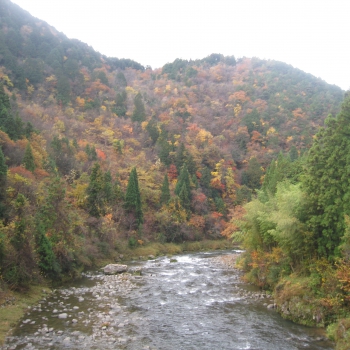 IMG_0157.JPG