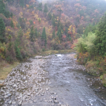 IMG_0165.JPG