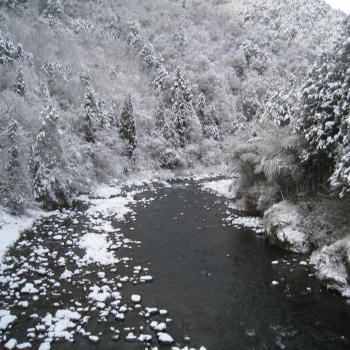 IMG_0240.JPG