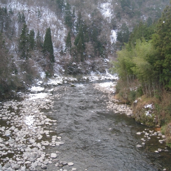 IMG_0245.JPG