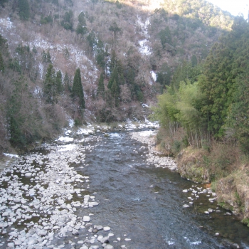 IMG_0248.JPG