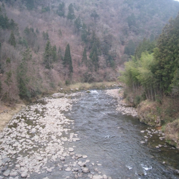 IMG_0255.JPG