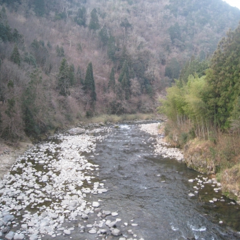 IMG_0260.JPG