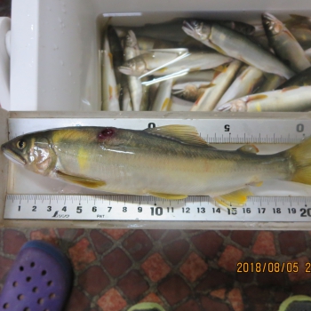 IMG_1873中島30.08.05-1.JPG