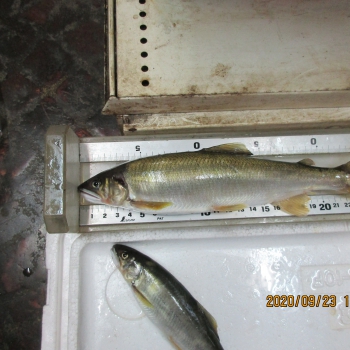 IMG_2692.JPG