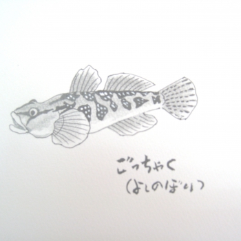 IMG_8496よしのぼり.jpg