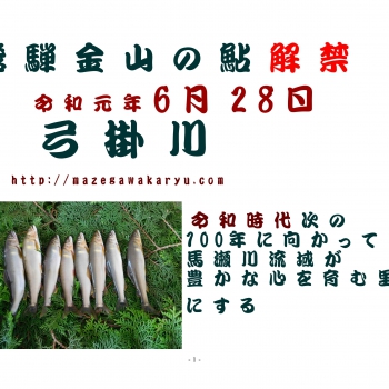 令和元年弓掛川解禁日.jpg